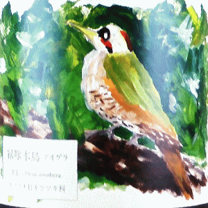 緑啄木鳥 2023 750ml