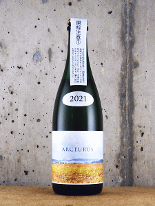 ARCTURUS 2024