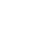 三光正宗
