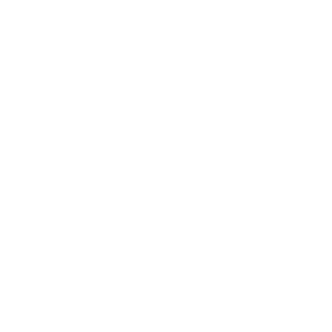 三光正宗